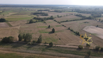 Działka Sprzedaż Osowiec