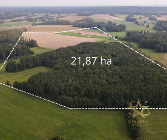 Dom Sprzedaż Zielony Gaj 2