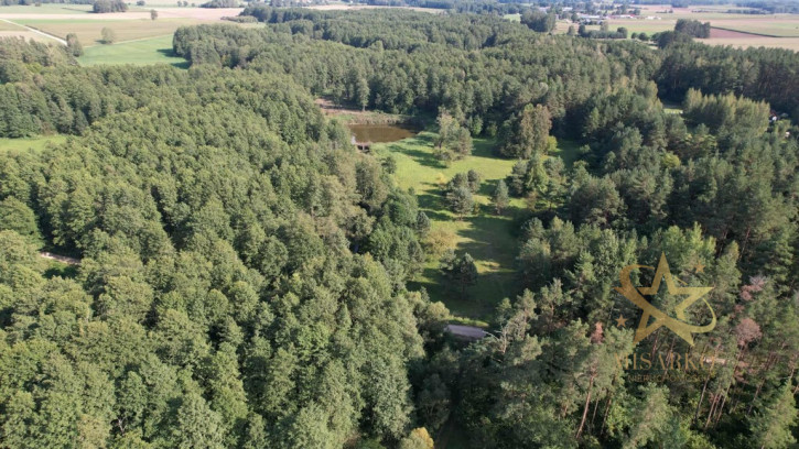 Działka Sprzedaż Morgi 12