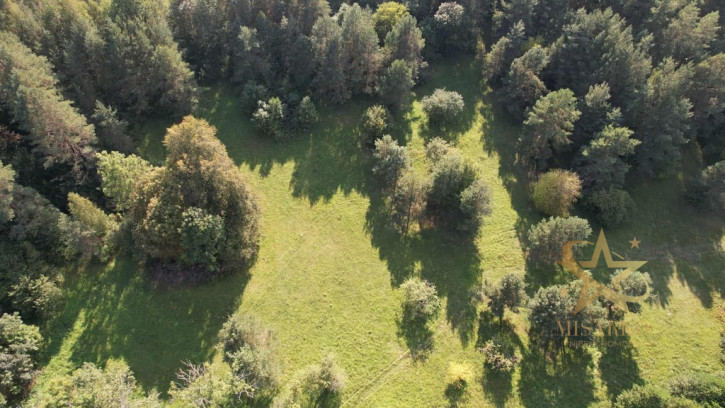 Działka Sprzedaż Morgi 13