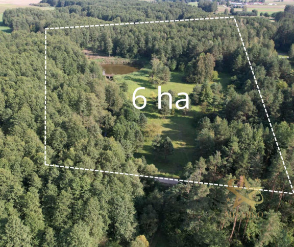 Działka Sprzedaż Morgi 6