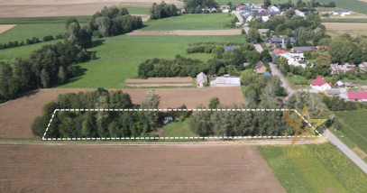 Obiekt Sprzedaż Krasne
